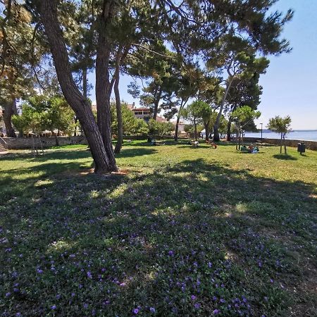 Nina Deluxe Superior 5 Star Apartment, Your Piece Of Heaven By The Sea & Park Novigrad Istria Exteriör bild